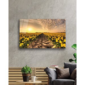 Gün Batımı Toprak Sarı Çiçekler Cam Tablo 36x23 cm