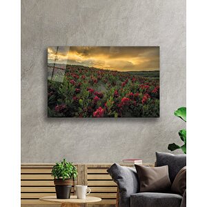 Gün Batımında Dağ Kırmızı Çiçekler 50x70 cm
