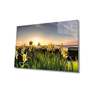 Gün Batımında Sarı Çiçekler Cam Tablo 90x60 cm