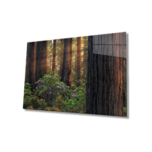 Gün Batımı Ağaçlar Çiçekler Cam Tablo 50x70 cm