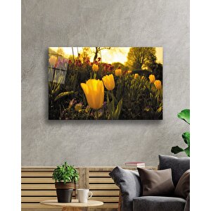 Gün Batımı Sarı Laleler 36x23 cm