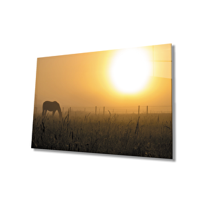 Gün Batımı At Cam Tablo Sunset Horse Table 90x60 cm