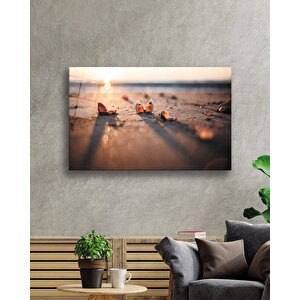 Sahilde Deniz Kabukları Gün Batımı Cam Tablo 50x70 cm