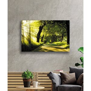 Gün Batımı Orman Manzara Yeşil Cam Tablo 50x70 cm