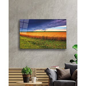 Gün Batımında Başaklar Mavi Sarı 50x70 cm