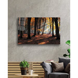 Gün Batımı Ağaçlar Manzara Cam Tablo 110x70 cm