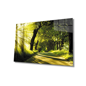 Gün Batımı Orman Manzara Yeşil Cam Tablo 110x70 cm