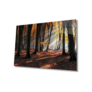 Gün Batımı Ağaçlar Manzara Cam Tablo 50x70 cm