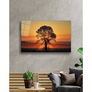 Gün Batımı Manzarasında Ağaç Cam Tablo 50x70 cm