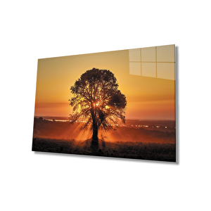 Gün Batımı Manzarasında Ağaç Cam Tablo 36x23 cm