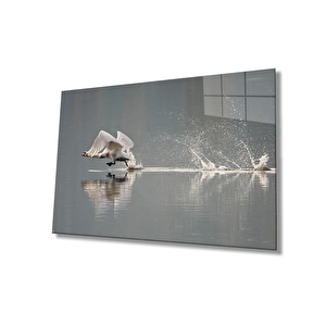 Kuğu Cam Tablo 36x23 cm