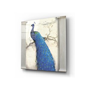 Tavus Kuşu Cam Tablo 30x30 cm