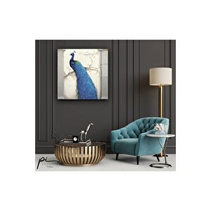 Tavus Kuşu Cam Tablo 30x30 cm