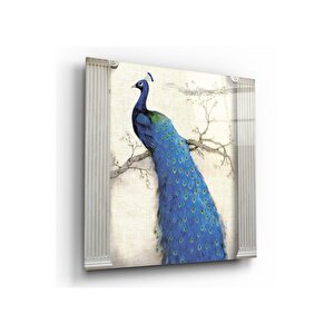 Tavus Kuşu Cam Tablo 80x80 cm