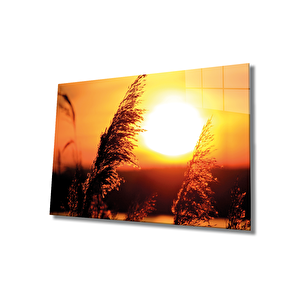 Sarı Güneş Cam Tablo Yellow 50x70 cm