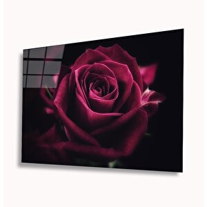 Kırmızı Gül Cam Tablo 36x23 cm