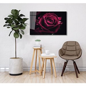 Kırmızı Gül Cam Tablo 36x23 cm