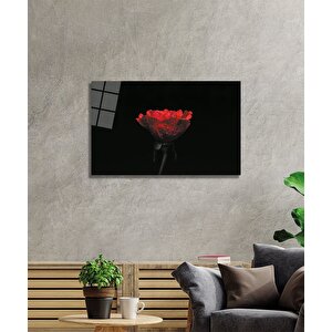 Damlalı Gül Cam Tablo 36x23 cm