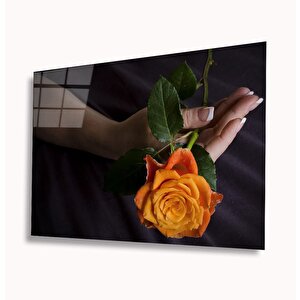 Gül Cam Tablo 50x70 cm
