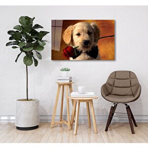 Köpek Ve Gül Cam Tablo 50x70 cm