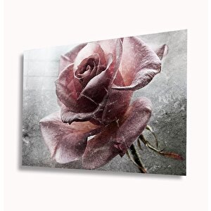 Gül Cam Tablo 36x23 cm