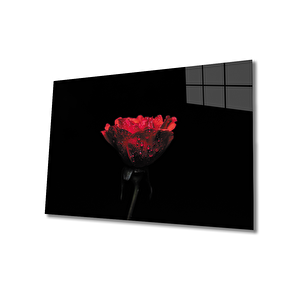 Damlalı Gül Cam Tablo 50x70 cm