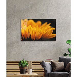 Ay Çiçeği Günebakancam Tablo 50x70 cm