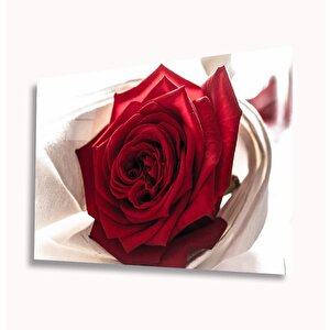 Kırmızı Gül Cam Tablo 36x23 cm