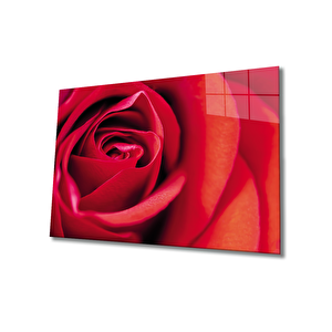 Kırmızı Gül Cam Tablo 110x70 cm