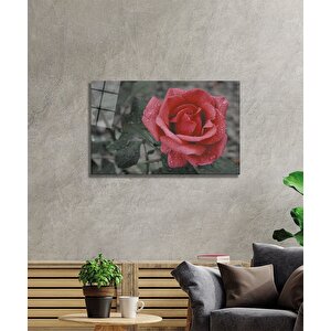 Gül Cam Tablo 36x23 cm