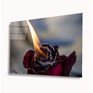 Ateş Ve Gül Cam Tablo 50x70 cm