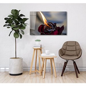 Ateş Ve Gül Cam Tablo 50x70 cm