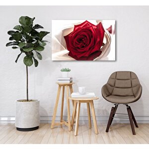Kırmızı Gül Cam Tablo 90x60 cm