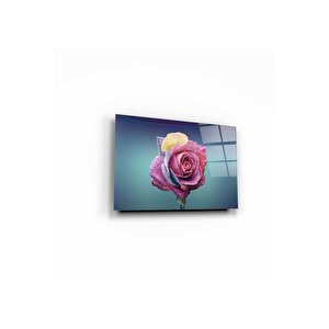 Gül Cam Tablo 50x70 cm