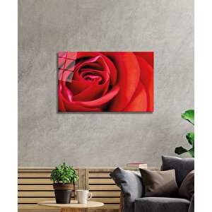 Kırmızı Gül Cam Tablo 50x70 cm