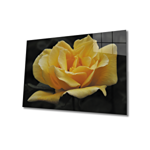 Gül Cam Tablo 50x70 cm