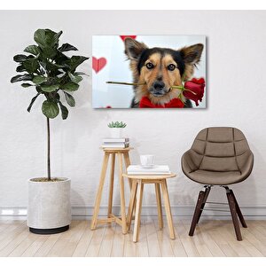 Köpek Ve Gül Cam Tablo 90x60 cm