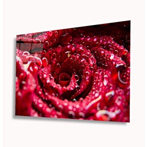 Kırmızı Gül Cam Tablo 36x23 cm