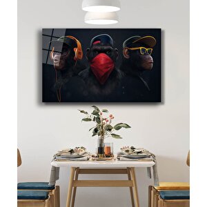 Maymunlar Hayvan Cam Tablo 50x70 cm
