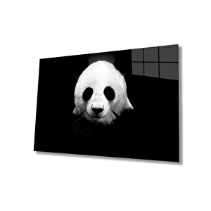 Panda Hayvan Cam Tablo 110x70 cm