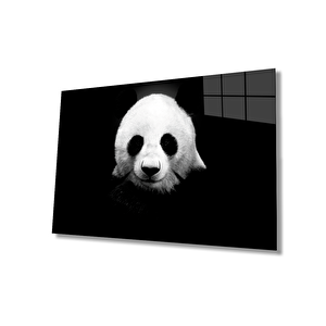 Panda Hayvan Cam Tablo 36x23 cm