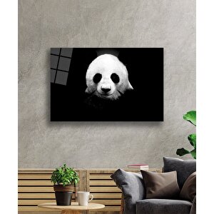 Panda Hayvan Cam Tablo 36x23 cm