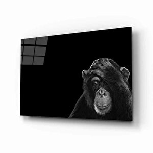 Maymun Hayvan Cam Tablo 110x70 cm