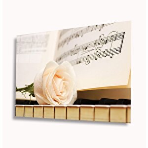 Beyaz Gül Ve Müzik Cam Tablo 36x23 cm