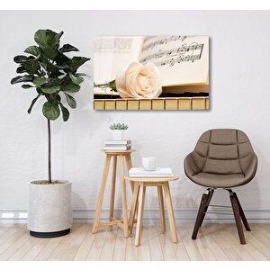 Beyaz Gül Ve Müzik Cam Tablo 36x23 cm