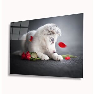 Köpek Ve Gül Cam Tablo 50x70 cm