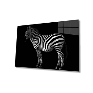 Zebra Hayvan Cam Tablo