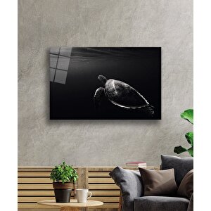 Kaplumbağa Hayvan Cam Tablo 110x70 cm