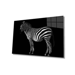 Zebra Hayvan Cam Tablo 36x23 cm