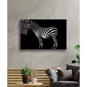 Zebra Hayvan Cam Tablo 36x23 cm
